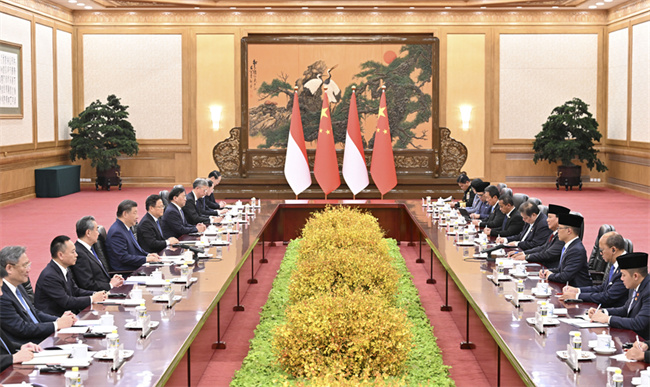 习近平同印度尼西亚总统普拉博沃会谈3.jpg