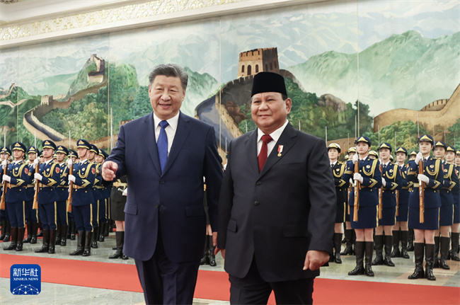 习近平同印度尼西亚总统普拉博沃会谈6.jpg