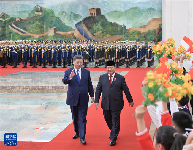 习近平同印度尼西亚总统普拉博沃会谈7.jpg